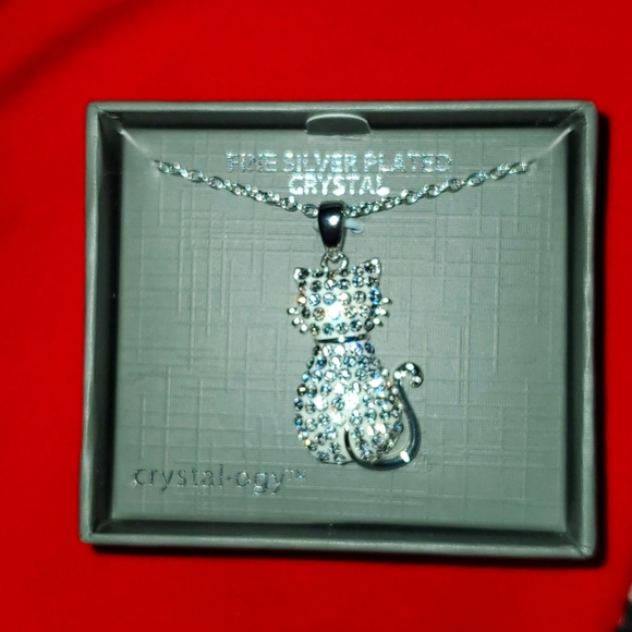 crystalology Jewelry - 18 inch Silver plated necklace